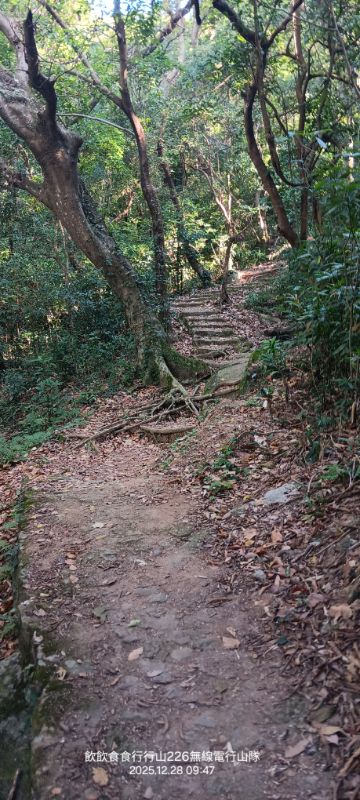 IMG_20251228_12815.jpg