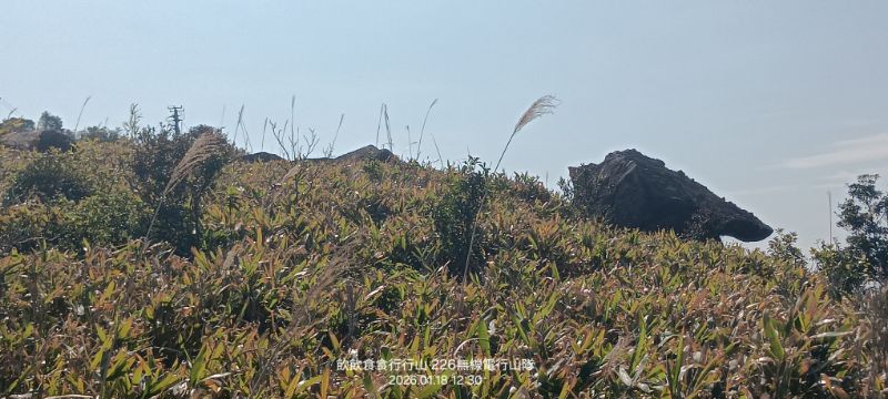 IMG_20260122_47597.jpg