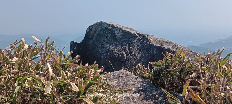 IMG_20260122_4790.jpg