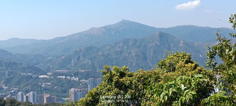 IMG_20260223_4144.jpg