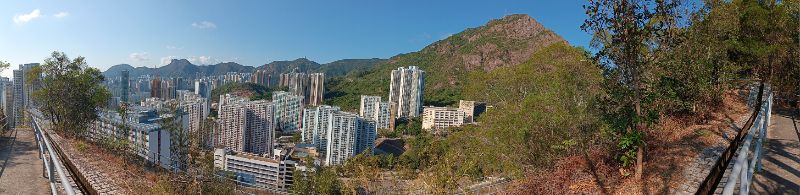 IMG_20260226_1452.jpg