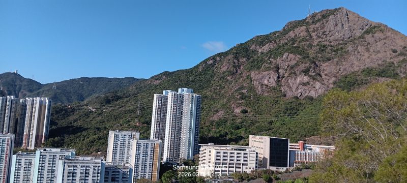 IMG_20260226_13272.jpg