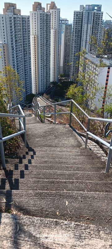 IMG_20260226_12829.jpg