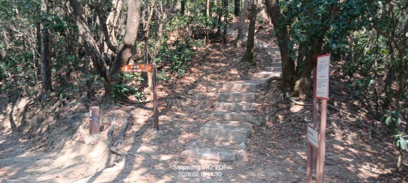 IMG_20260226_12895.jpg