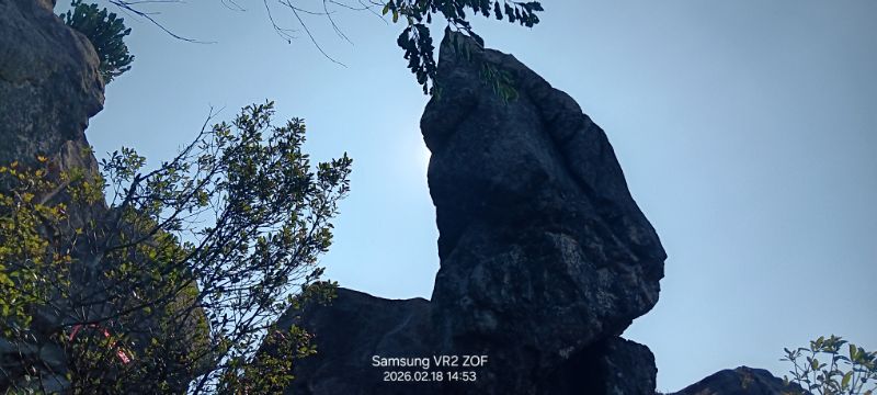 IMG_20260226_10355.jpg
