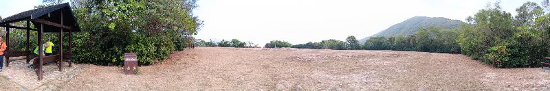 IMG_20260304_38574.jpg