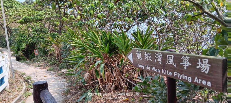 IMG_20260304_37182.jpg