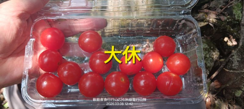 IMG_20260310_19411.jpg