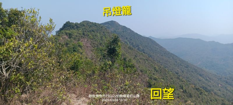 IMG_20260310_19195.jpg
