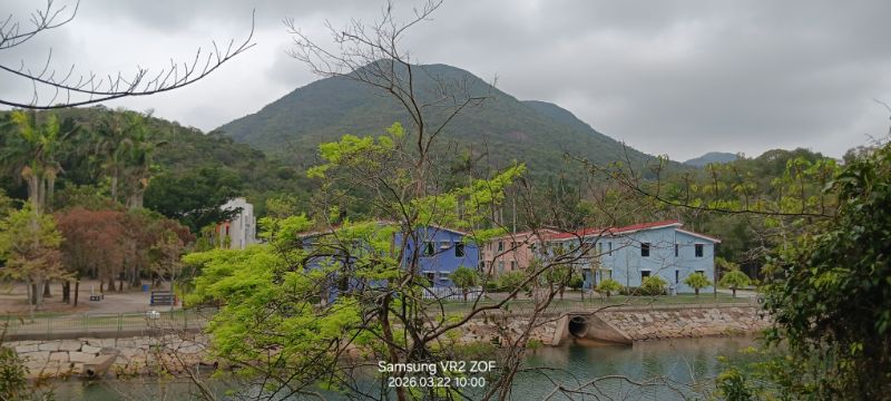 IMG_20260325_13477.jpg