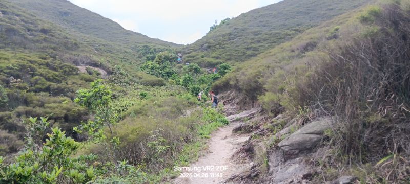 IMG_20260429_14984.jpg