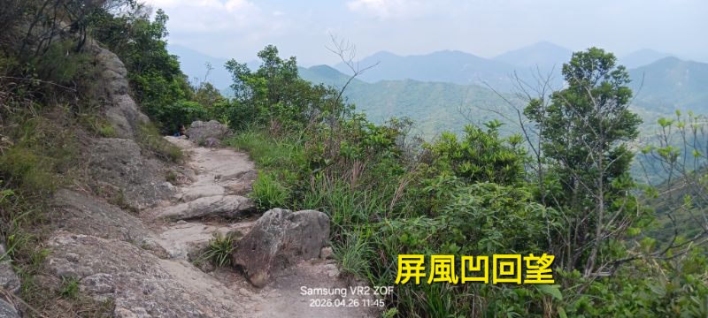 IMG_20260429_14783.jpg
