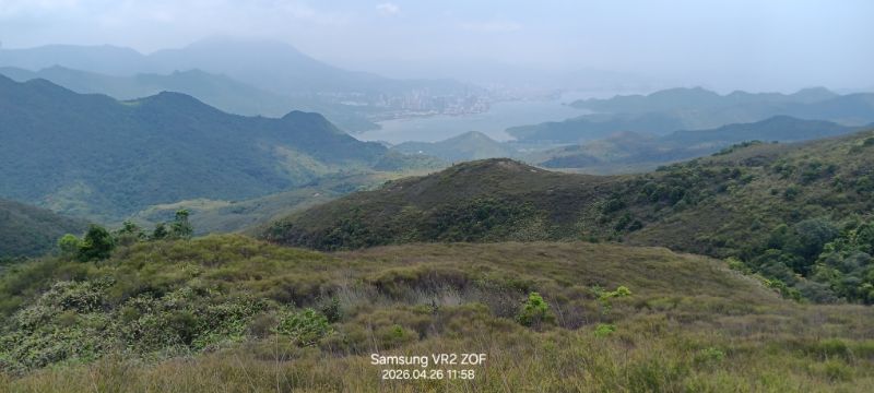 IMG_20260429_14122.jpg