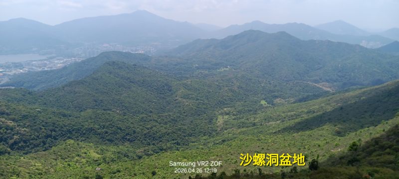 IMG_20260429_12675.jpg