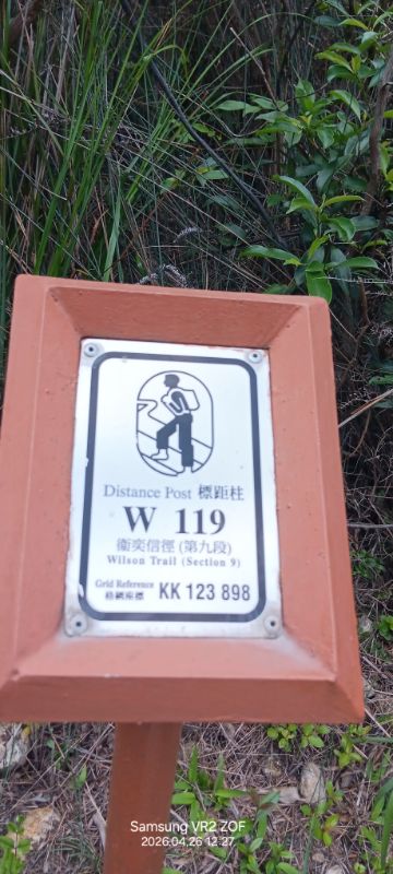 IMG_20260429_1237.jpg