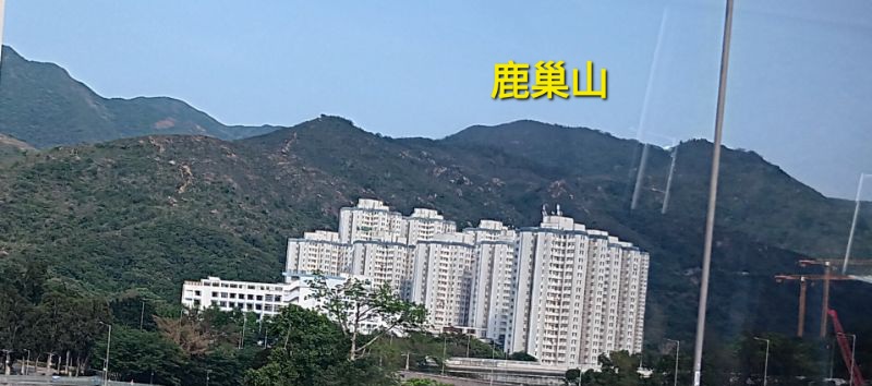 IMG_20260429_8662.jpg