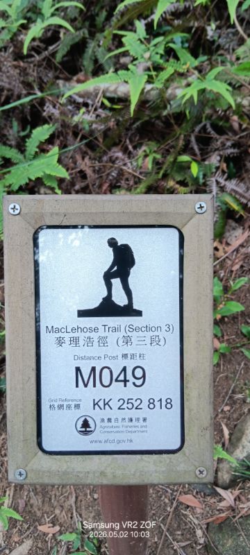IMG_20260507_2203.jpg