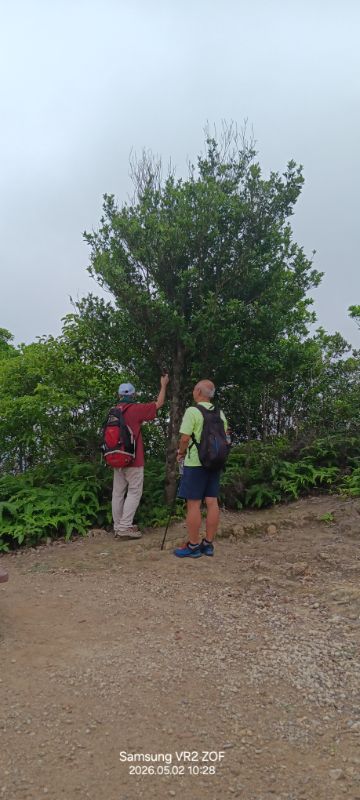 IMG_20260507_0937.jpg