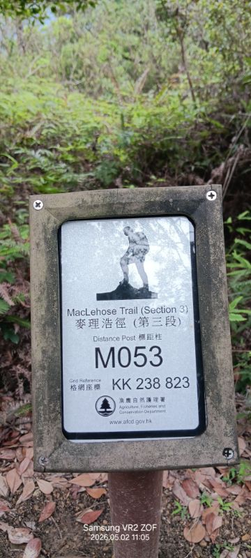 IMG_20260507_58178.jpg