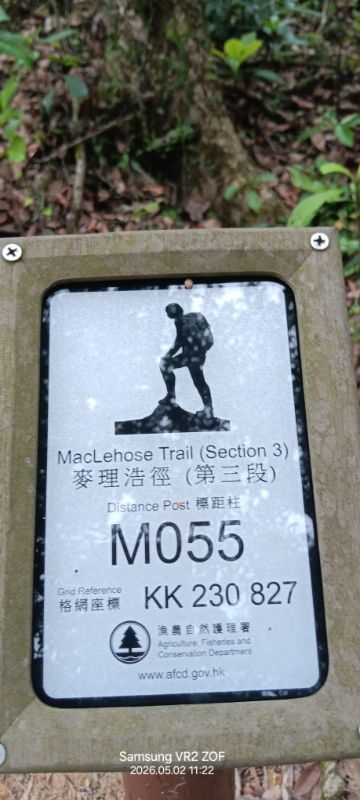 IMG_20260507_56750.jpg