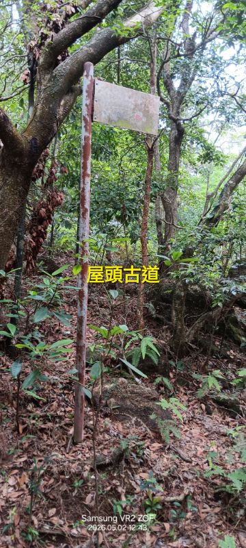IMG_20260507_55273.jpg