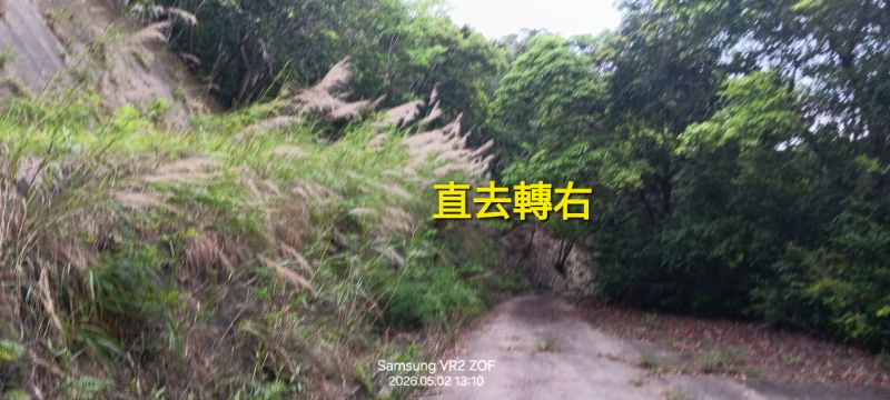 IMG_20260507_53774.jpg