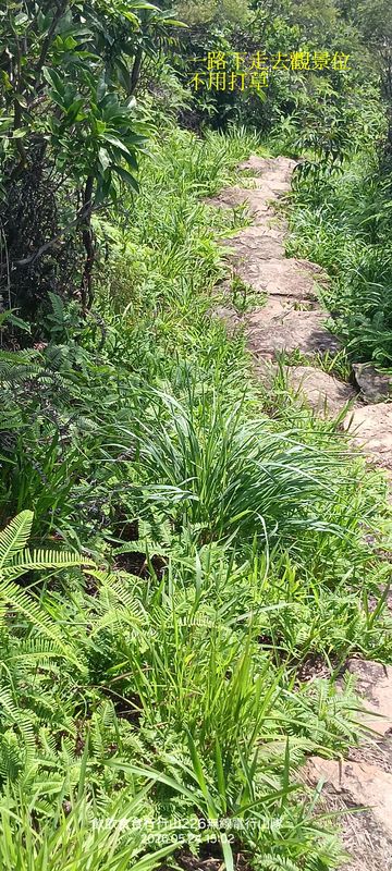 20260524_150228.jpg