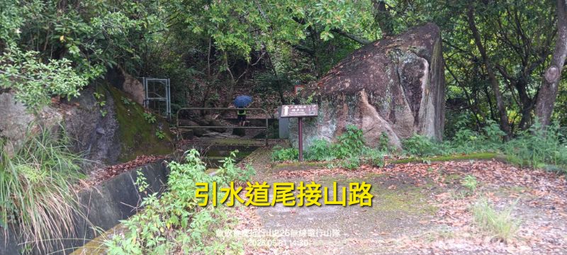IMG_20260601_19946.jpg