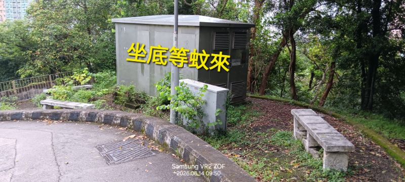 IMG_20260617_9959.jpg