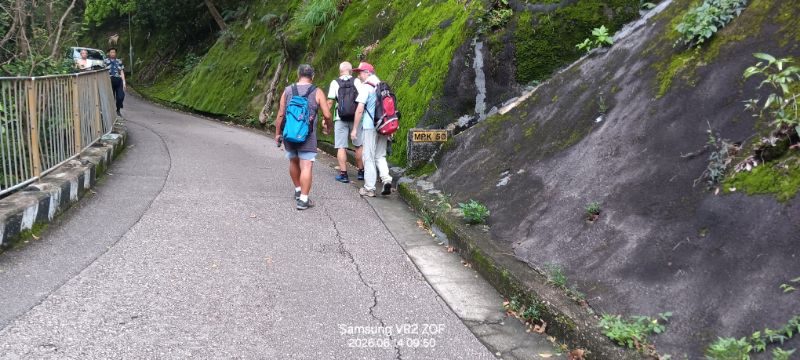 IMG_20260617_9711.jpg