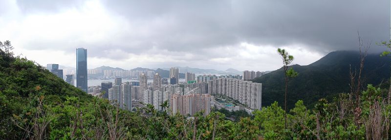 IMG_20260617_6792.jpg