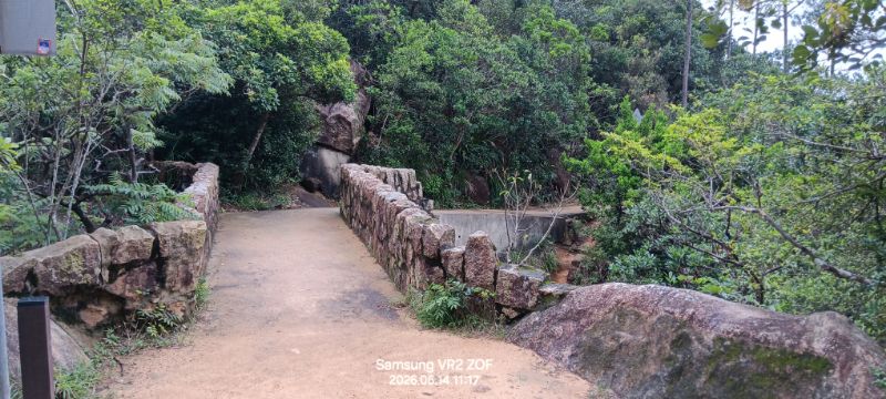 IMG_20260617_4239.jpg