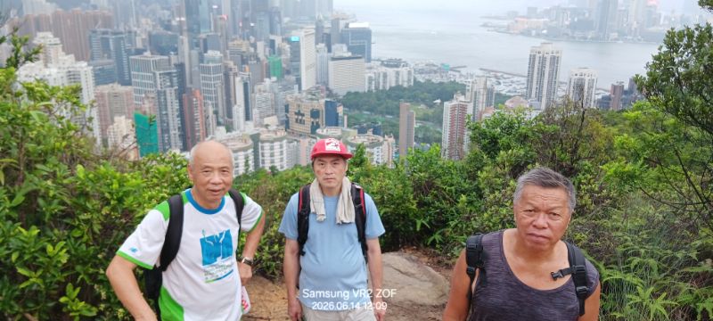 IMG_20260617_3679.jpg