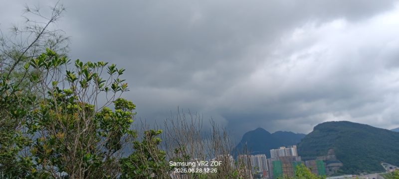 IMG_20260702_59889.jpg