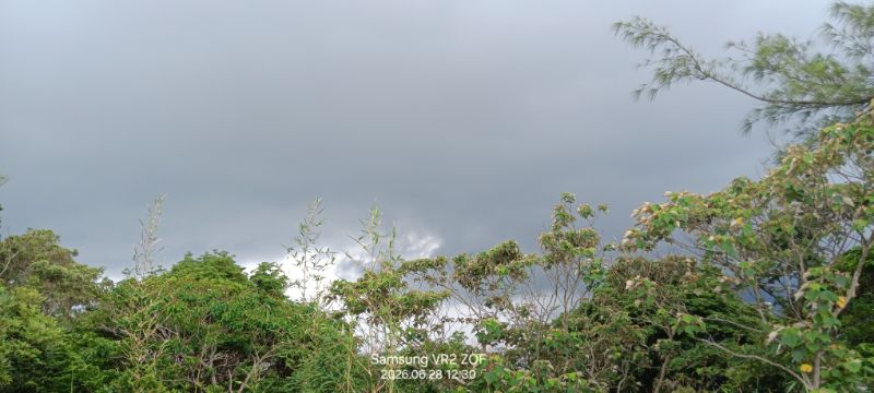 IMG_20260702_59375.jpg