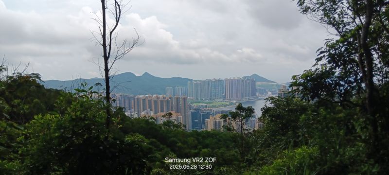 IMG_20260702_59175.jpg