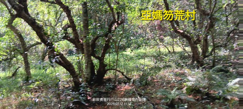 IMG_20260713_34537.jpg