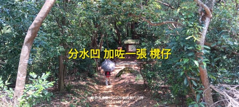 IMG_20260713_31618.jpg