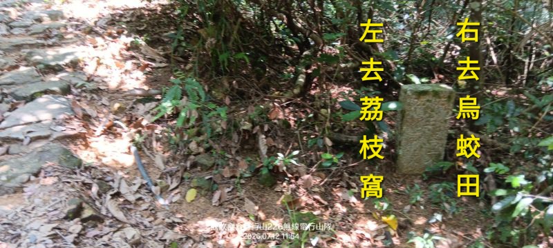 IMG_20260713_3083.jpg