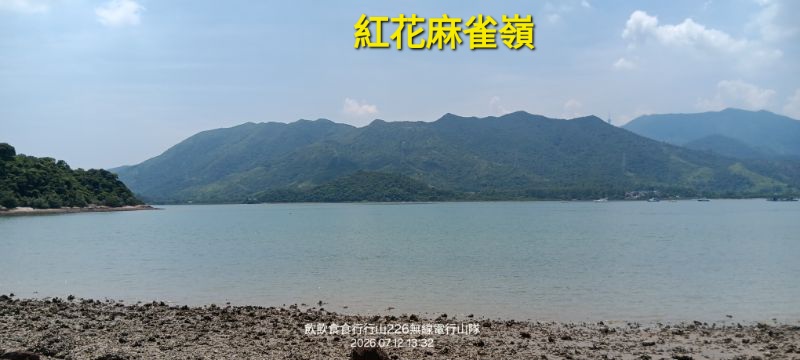 IMG_20260713_24233.jpg
