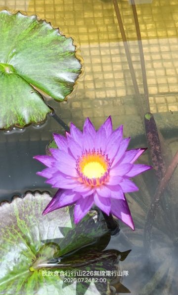 IMG_20260725_36552.jpg
