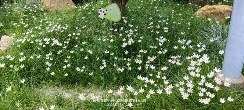 IMG_20260725_34700.jpg