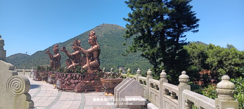 IMG_20260725_28193.jpg