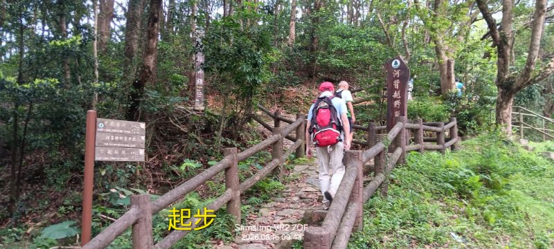 IMG_20260819_1463.jpg