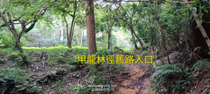 IMG_20260819_1364.jpg