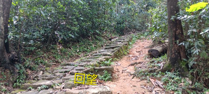 IMG_20260819_12118.jpg