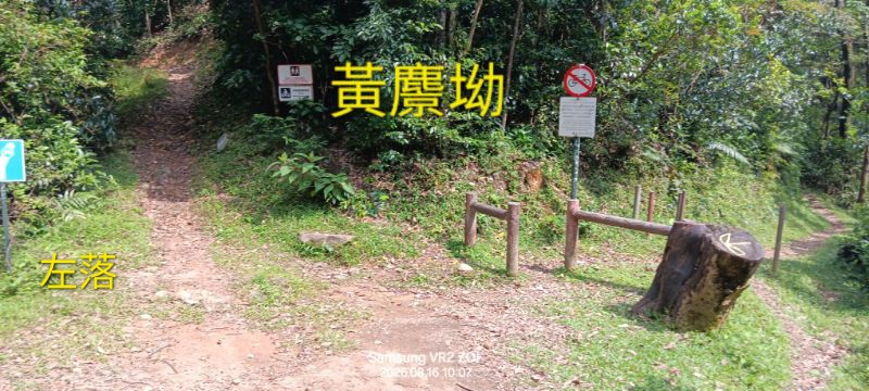 IMG_20260819_11135.jpg