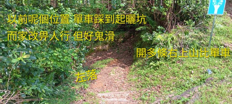 IMG_20260819_10834.jpg