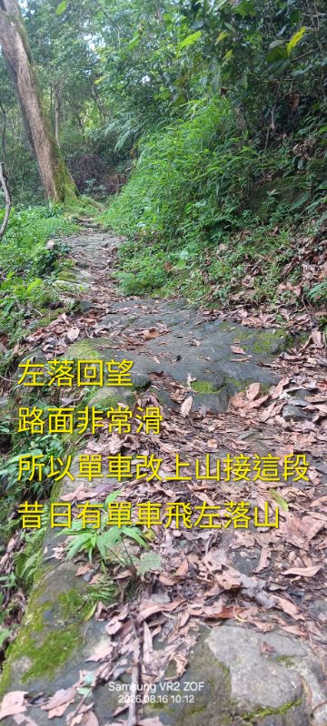 IMG_20260819_10212.jpg