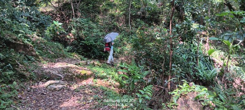 IMG_20260819_647.jpg